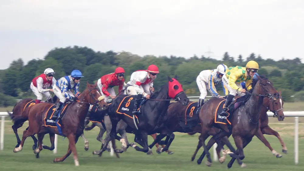 Horse-racing picture Screenshot